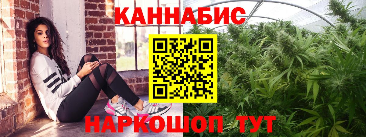 Каннабис OG Kush Сарапул